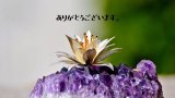 お客様の声を更新しました✨