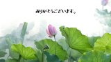 お客様の声を更新しました。嬉しいお声をありがとうございます🙏✨