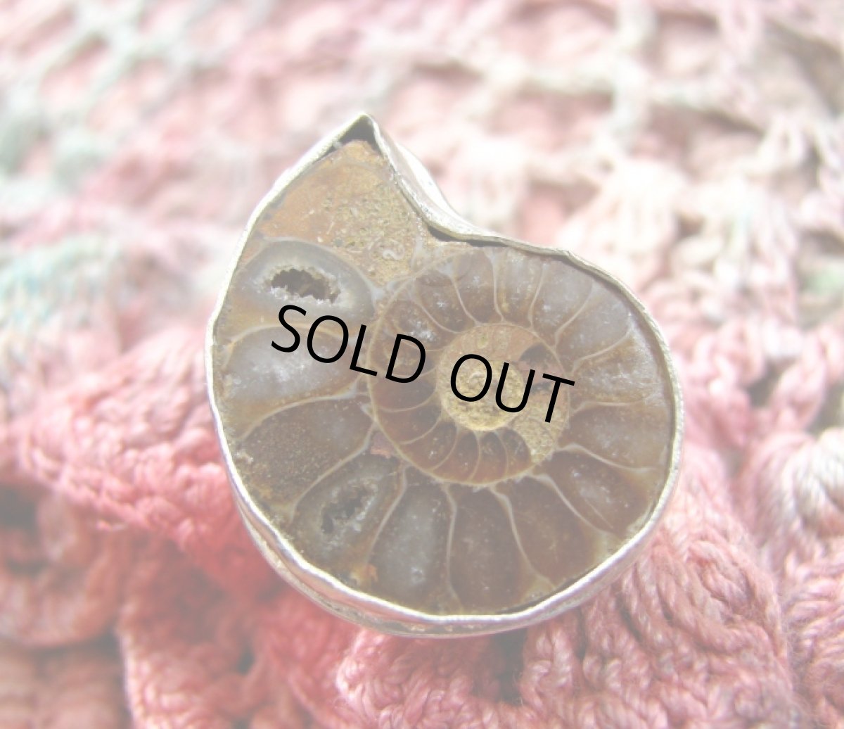 画像3: サイケデリック?!アンモナイト化石の指輪リング14号*シルバー925 (3)