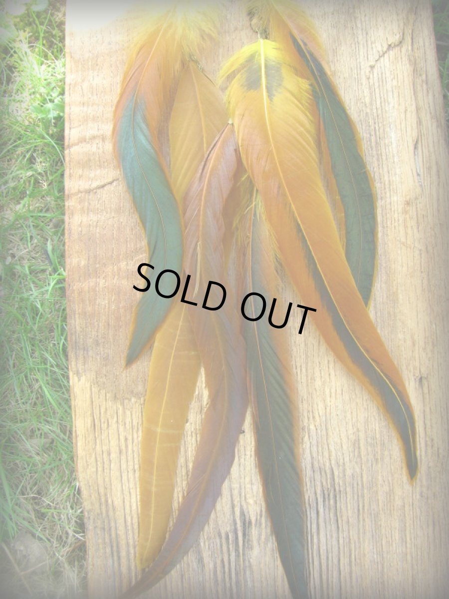 画像5: 日本より発送♪全長30cm!!ゴージャスひらひらロングフェザーピアス*トライバル*ヒッピー*ベリーダンス*野外フェス (5)