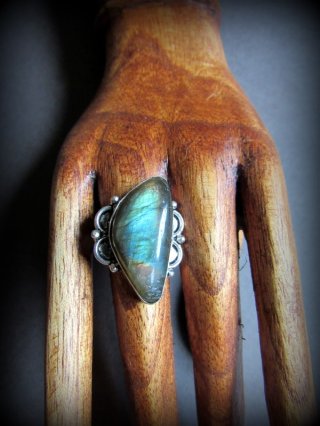 りんごくん　アンモナイトホルスター マンダリンブラザーズ】ナイトスケープLED カラー 首輪