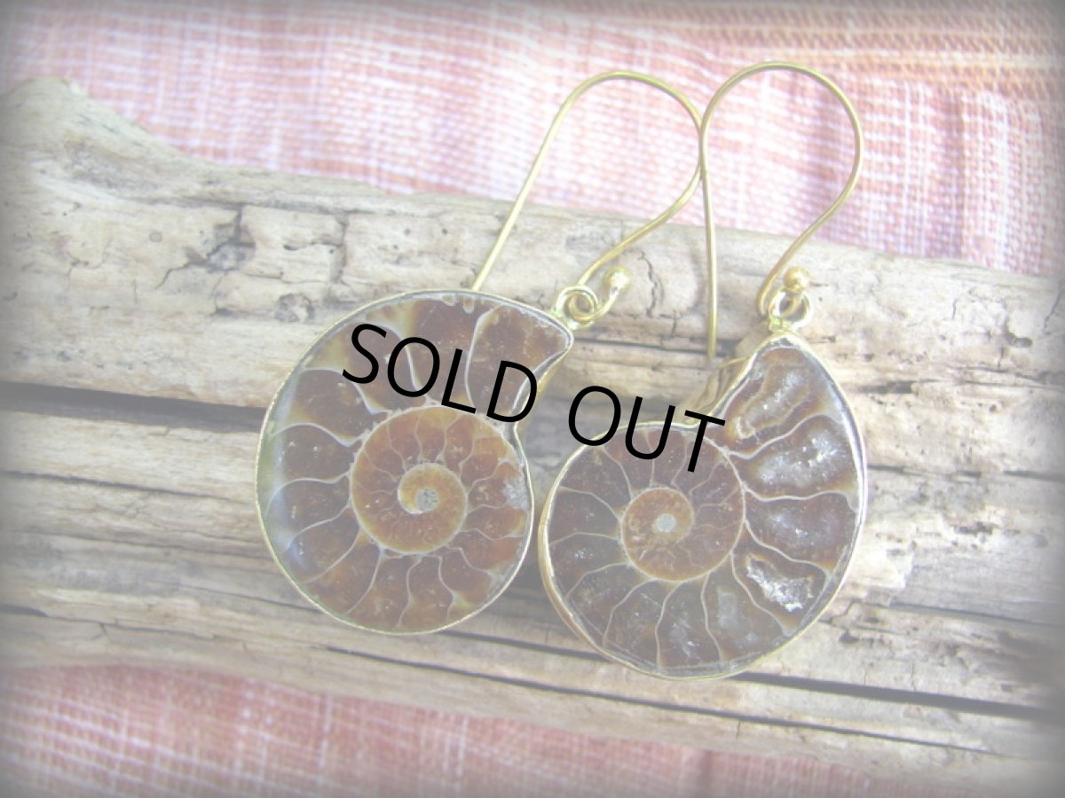 画像2: マダガスカル産アンモナイト化石のピアス*ゴールドカラー真鍮 (2)