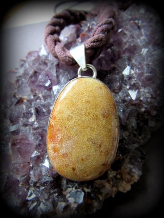 フォシルコーラル - Tuwa Earth Crafts