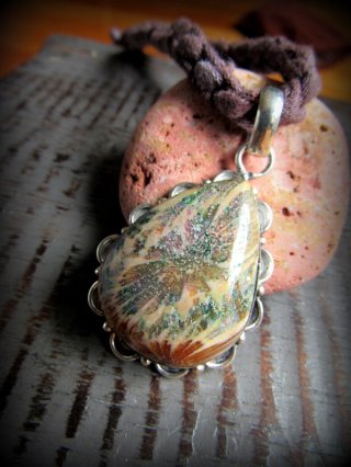 フォシルコーラル - Tuwa Earth Crafts