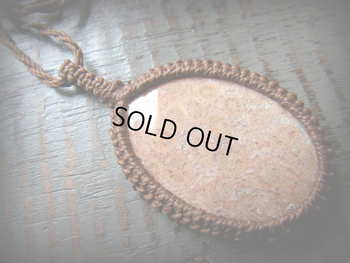 画像6: 1点物★大きな上質フォッシルコーラル（インドネシア産）★珊瑚化石★ネックレス/ペンダント★フォシルコーラル (6)