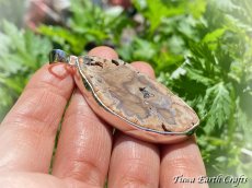 画像5: 石全長4.6cm 大ぶり高品質ブルーフォレスト 珪化木 ペトリファイドウッド  ペンダントトップ 1点もの★ヒーリングストーン天然石ジュエリー　パワーストーンアクセサリー (5)