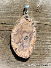 画像9: 石全長4.6cm 大ぶり高品質ブルーフォレスト 珪化木 ペトリファイドウッド  ペンダントトップ 1点もの★ヒーリングストーン天然石ジュエリー　パワーストーンアクセサリー (9)