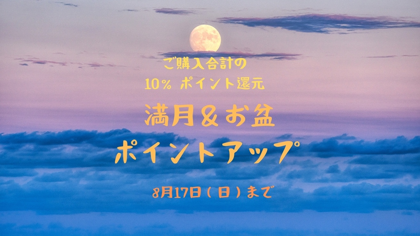 ポイントアップ✨ご購入合計の10%ポイント還元🎶